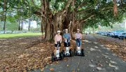 Three people are wearing helmets and standing on Segways under a large tree with hanging roots, on a path littered with fallen leaves.