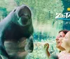 A child and an adult are happily looking at a manatee in a large aquarium at ZooTampa at Lowry Park