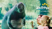 A child and an adult are happily looking at a manatee in a large aquarium at ZooTampa at Lowry Park.