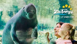 Popular Aquariums & Zoos