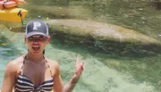 A person is excitedly pointing at a large manatee swimming in clear water nearby.