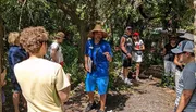 A person in a straw hat and blue outfit appears to be leading an outdoor tour or giving a presentation to a group of attentive listeners in a natural wooded setting.