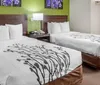 Photo of Sleep Inn - Tampa FL Room