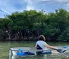 A person is kayaking through a serene waterway surrounded by greenery and overhanging branches