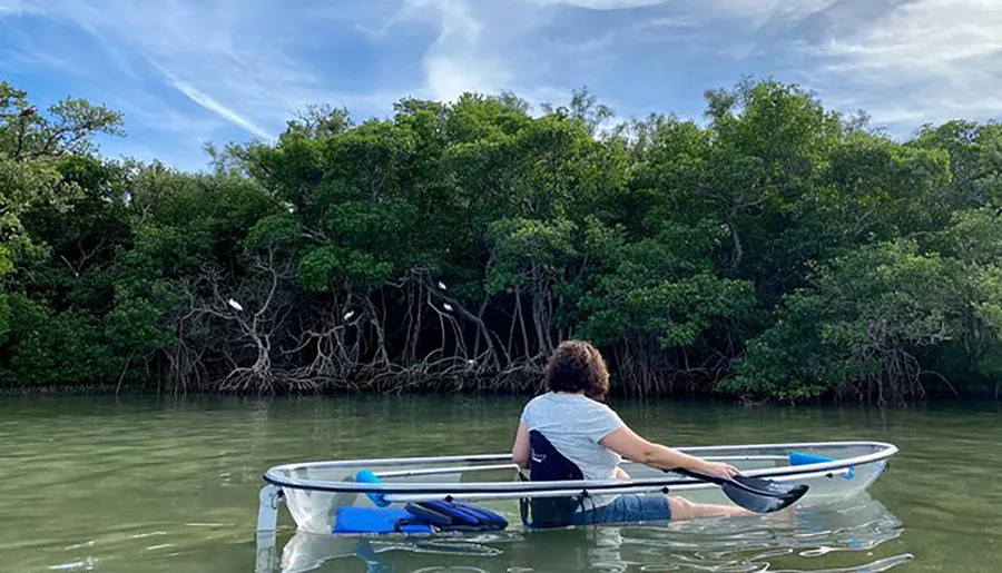 A person is kayaking in clear water near a mangrove forest using a transparent kayak.
