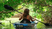 A person is kayaking through a serene waterway surrounded by greenery and overhanging branches.