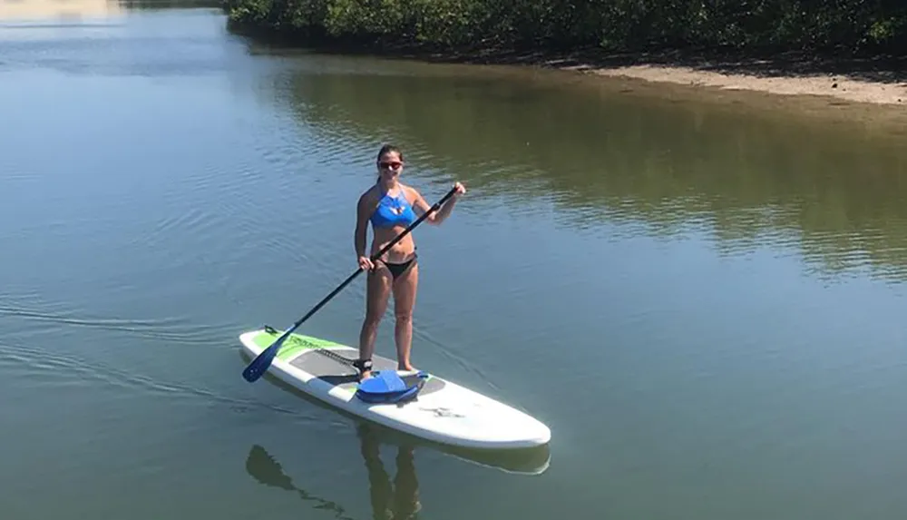 A person is stand-up paddleboarding on calm water near a shoreline