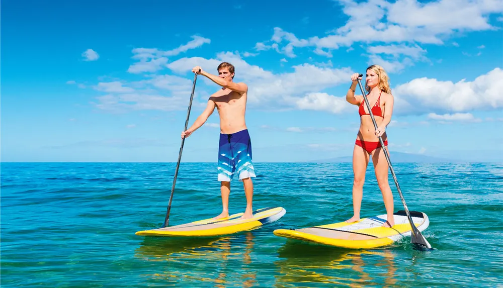 Two people are stand-up paddleboarding on a calm blue ocean under a clear sky