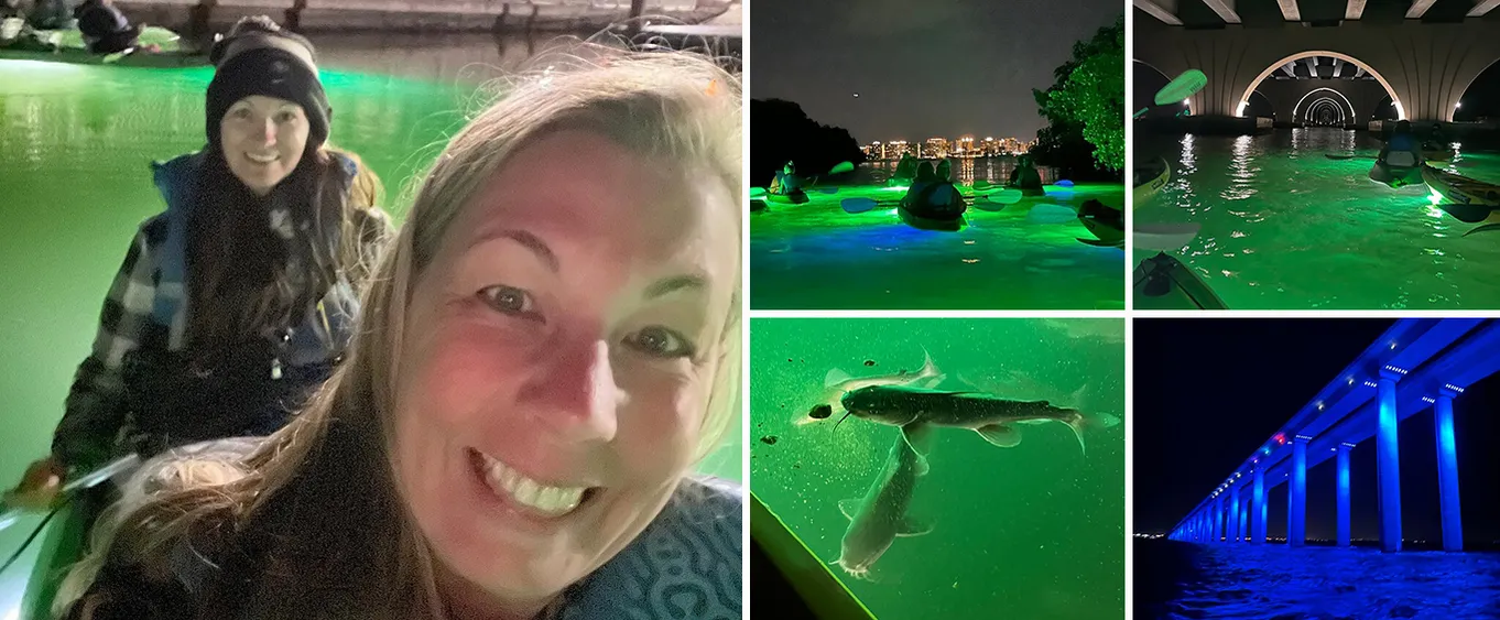 Kayak Adventure, Led Illuminated Glass Bottom Kayak Night Tour Clearwater Beach