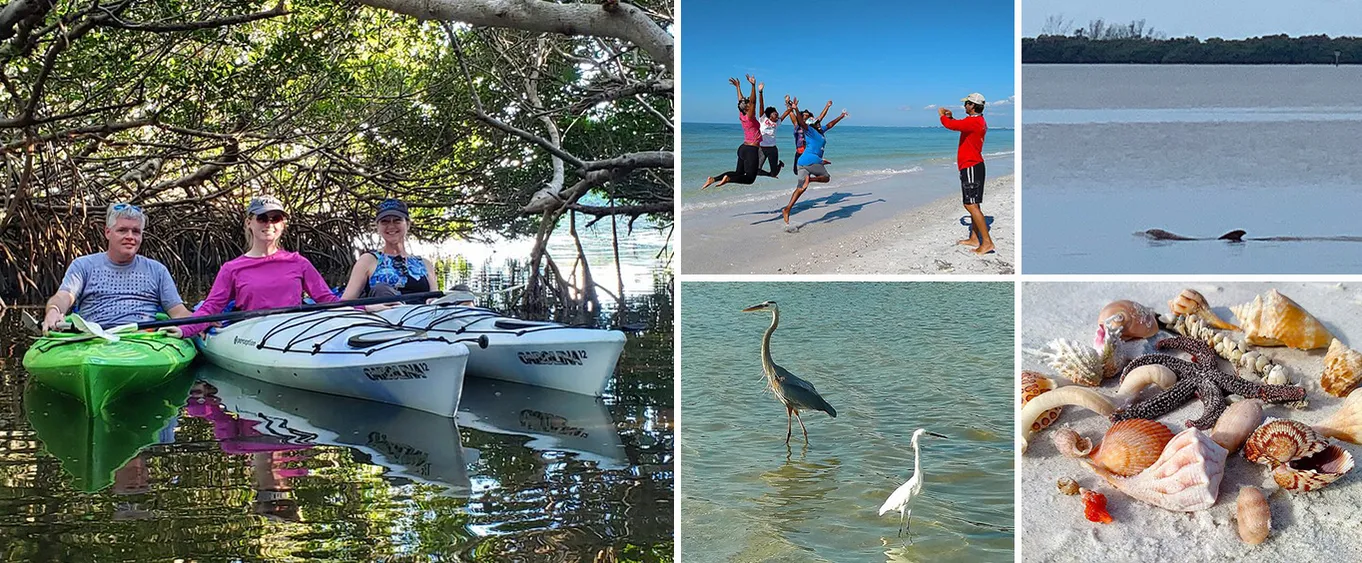 Kayak Adventure of Shell Key Preserve & Island with a Local