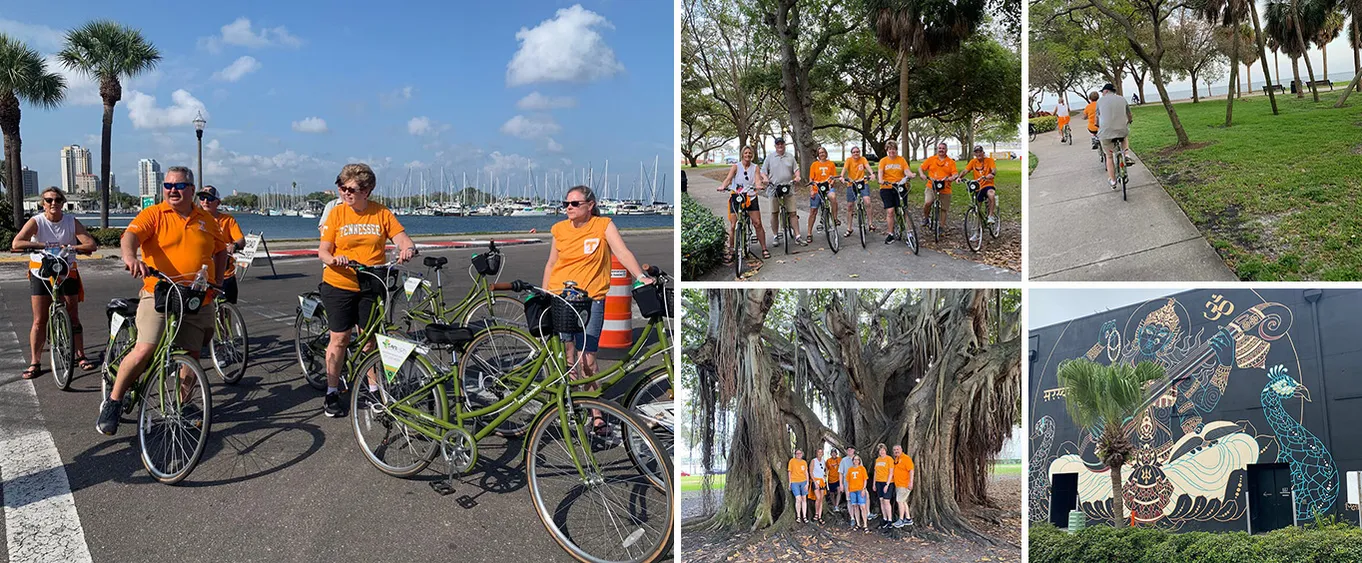 Small-Group St. Petersburg Downtown Neighborhoods Bike Tour