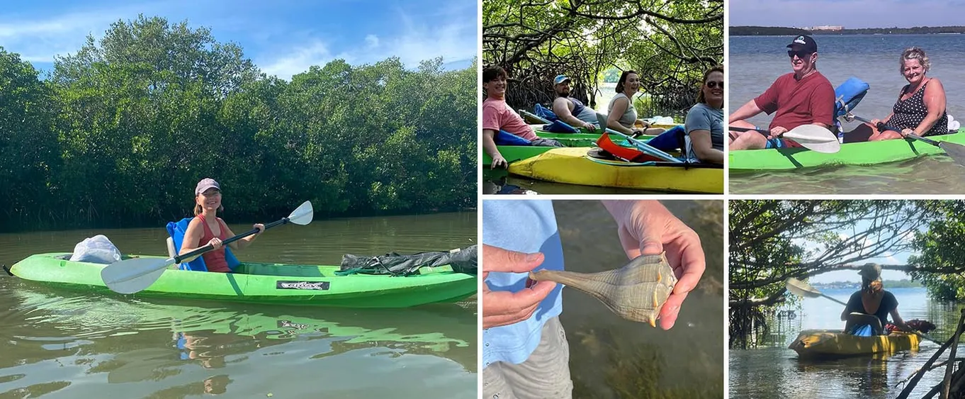 4-Hour Glass Bottom Kayak Rental with Island and Mangrove Tunnel Adventure