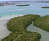 A person is kayaking through a serene mangrove tunnel with lush greenery surrounding them