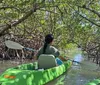 A person is kayaking through a serene mangrove tunnel with lush greenery surrounding them