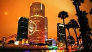 The image depicts a vibrant nighttime cityscape illuminated with colorful building lights, set against a backdrop of tall palm trees and an orange-hued sky.