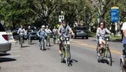 A group of people are enjoying a sunny day cycling together on a tree-lined street.
