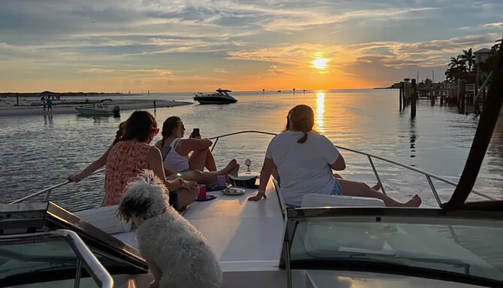 A group of people along with a dog are enjoying a sunset from the back of a boat