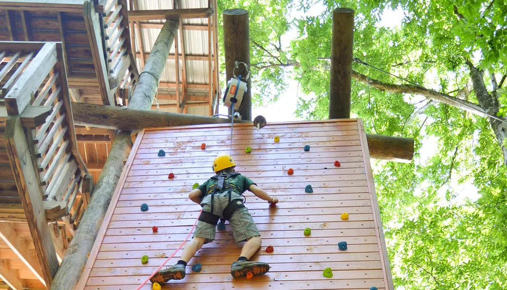 A person wearing a safety harness is climbing an outdoor artificial climbing wall amidst a forest setting