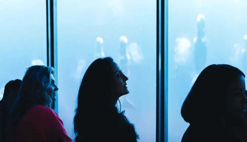 This image shows silhouetted people against a blue-tinted background likely looking out from a glass-walled room or observatory with blurred figures in the distance