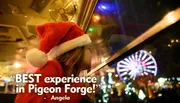 A child in a Santa hat looks out a window at a brightly lit Ferris wheel at night with a quote saying 