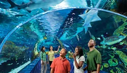 Popular Aquariums & Zoos