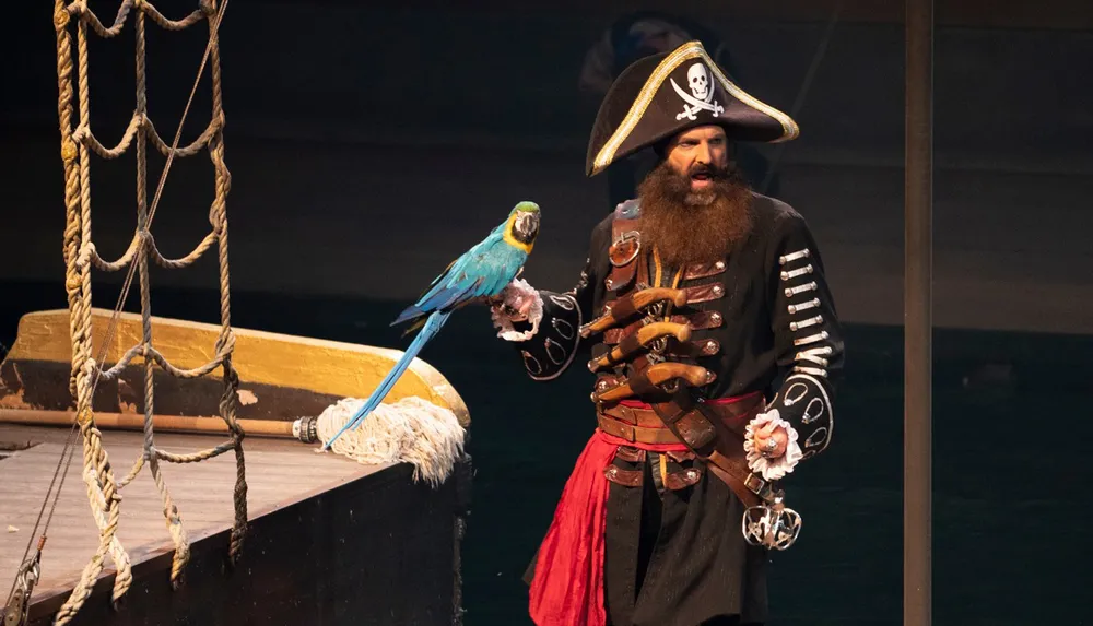 Show Information for Pirates Voyage Pigeon Forge, TN Dinner Show