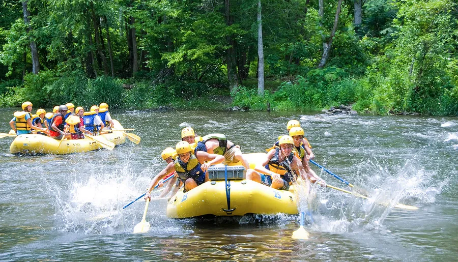 Two groups of people are wearing helmets and life jackets while paddling inflatable rafts down a fast-moving, tree-lined river.