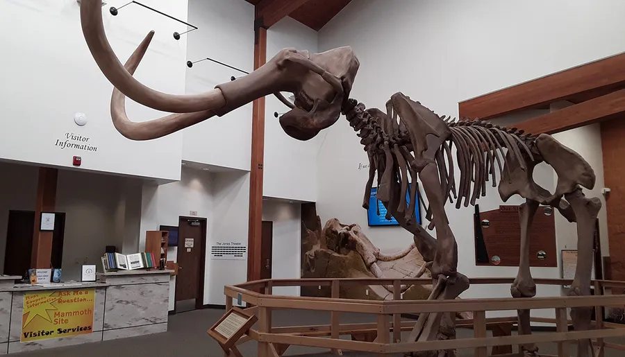 The image depicts a large skeletal display of a mammoth inside a museum's visitor center, with informational signs and visitor services desks in the background.