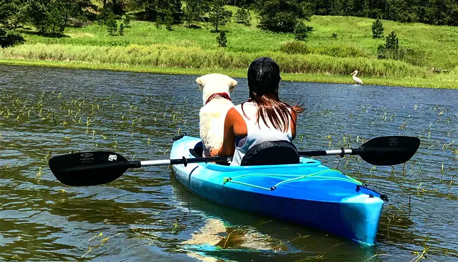 A person and a white dog are sharing a kayak on a tranquil water body, enjoying a sunny day in nature.