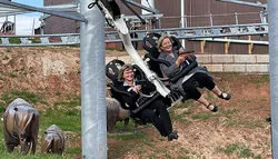 Popular Alpine Coasters