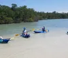 A group of people including two children are enjoying a sunny day out on the water while kayaking