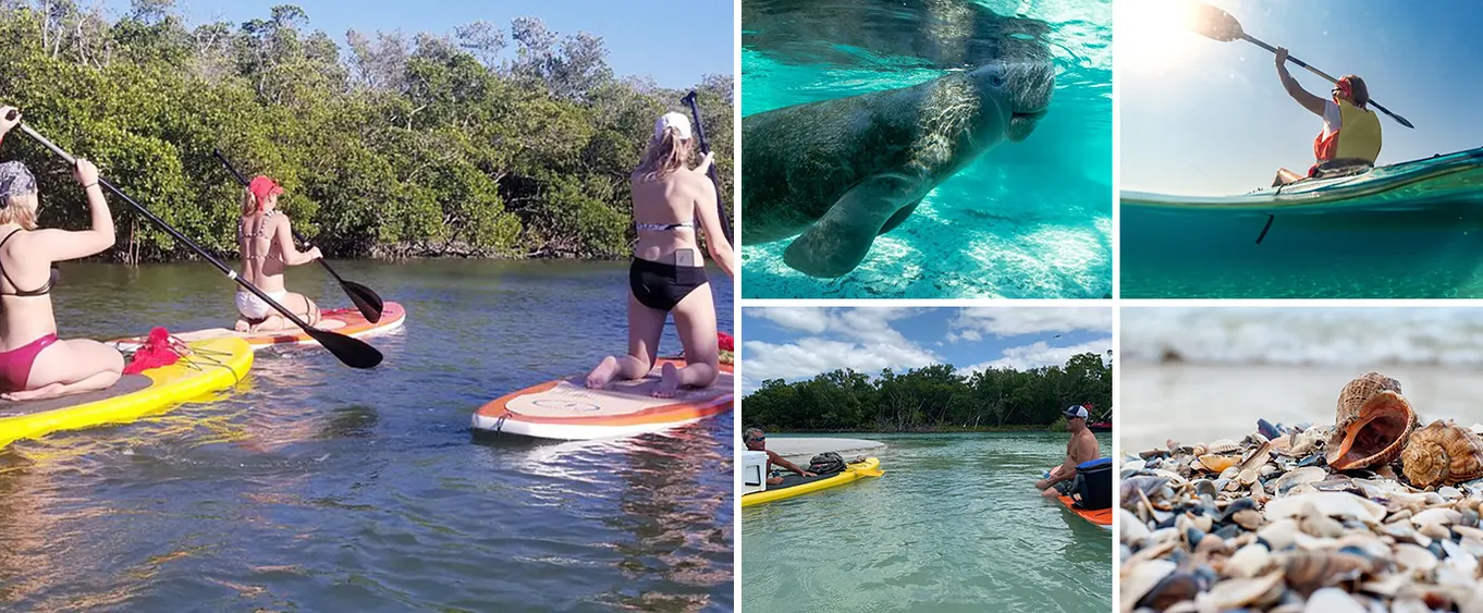 Private Guided Kayak Tour on Big Hickory Pass