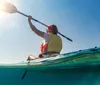 Three people are paddling on stand-up paddleboards in calm water near a mangrove shoreline