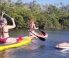 Three people are paddling on stand-up paddleboards in calm water near a mangrove shoreline