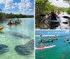 People are kayaking and swimming in clear water near manatees with one person capturing the moment on camera
