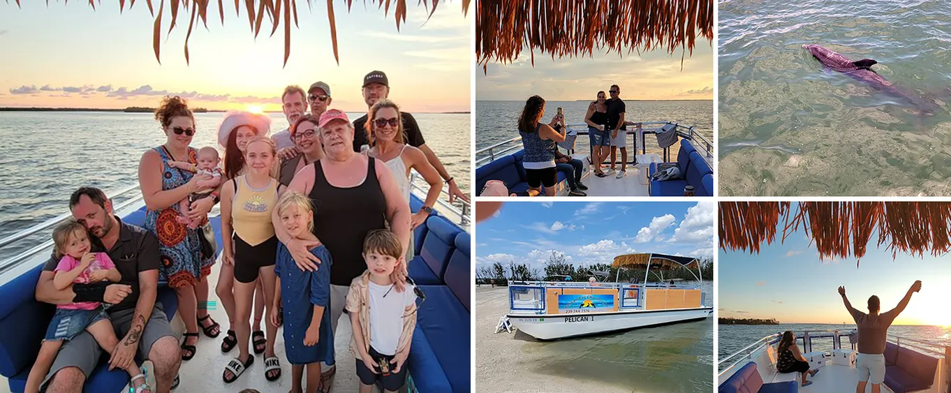 2-Hour Fort Myers Beach and Sanibel Dolphins Private Guided Tour