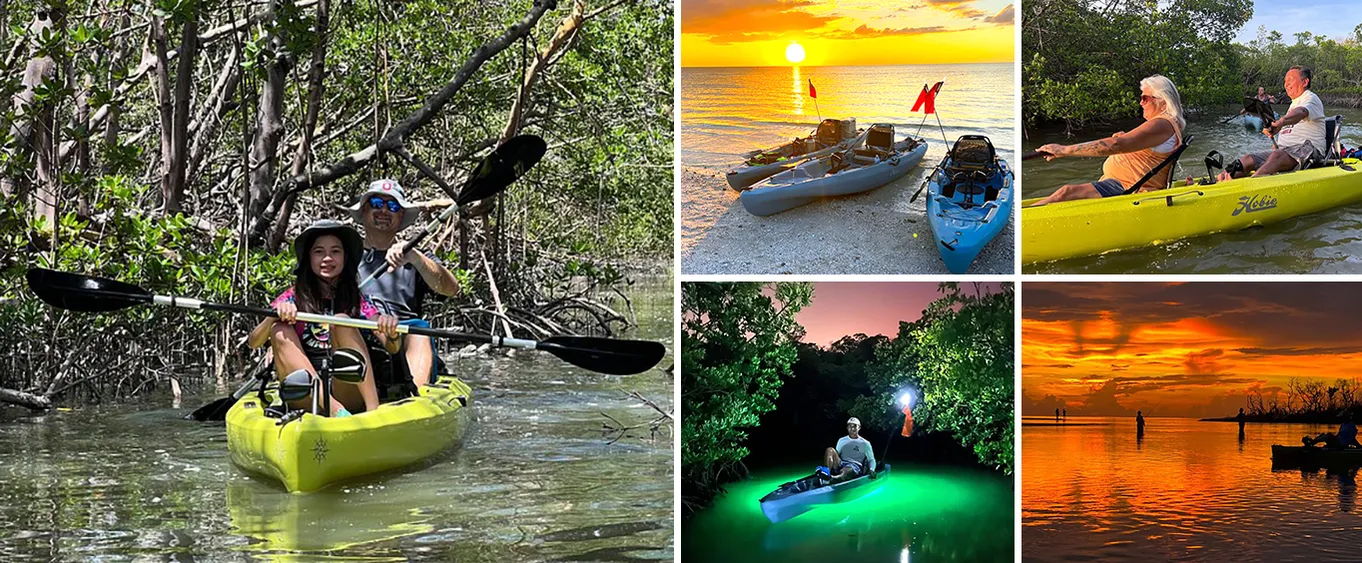 Naples Guided Sunset Kayak Tour Activity