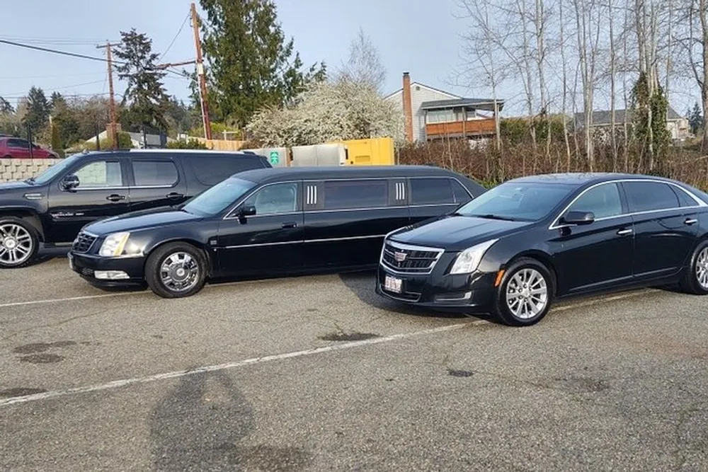 A black limousine is parked between an SUV and a sedan in a parking lot on a cloudy day