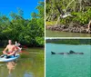 Two people are paddling on stand-up paddleboards through a calm mangrove estuary under a clear blue sky