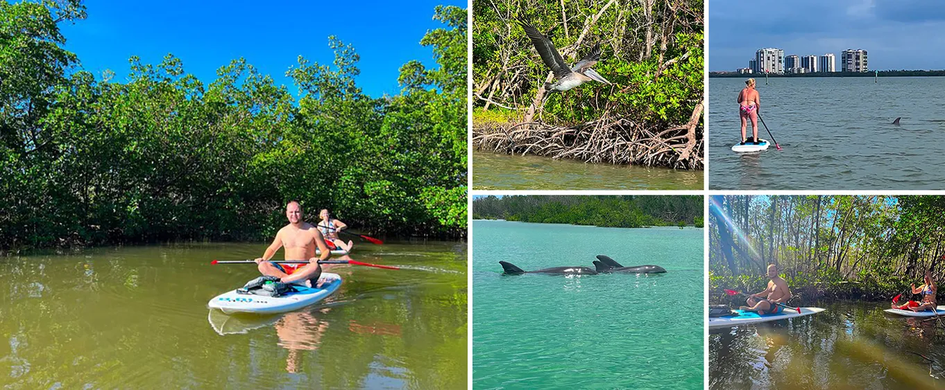 Tahe Paddle Board SUP Rental - Big Hickory, Bonita Springs