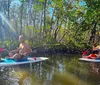 Two people are paddling on stand-up paddleboards through a calm mangrove estuary under a clear blue sky