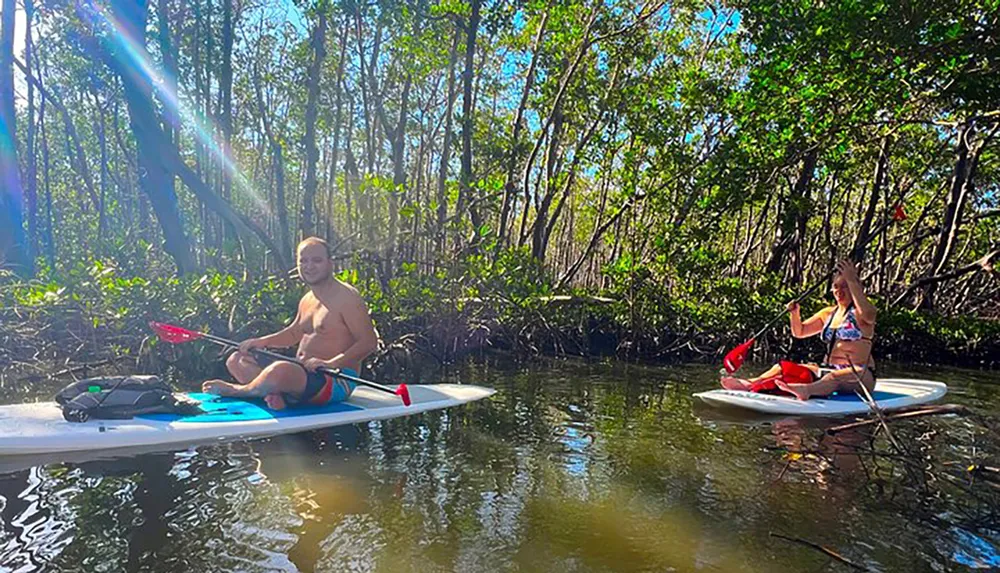 Two people are paddleboarding in a sunlit mangrove forest with rays of sunlight piercing through the canopy