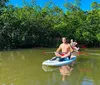 Two people are paddling on stand-up paddleboards through a calm mangrove estuary under a clear blue sky