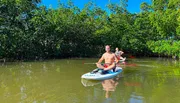 Two people are paddling on stand-up paddleboards through a calm mangrove estuary under a clear blue sky.