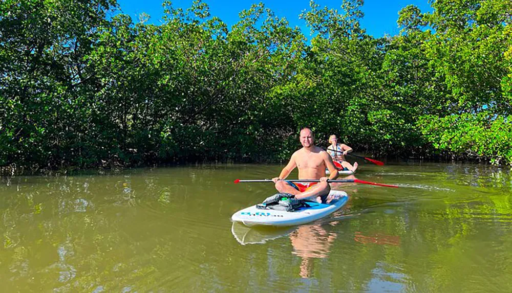 Two people are paddling on stand-up paddleboards through a calm mangrove estuary under a clear blue sky