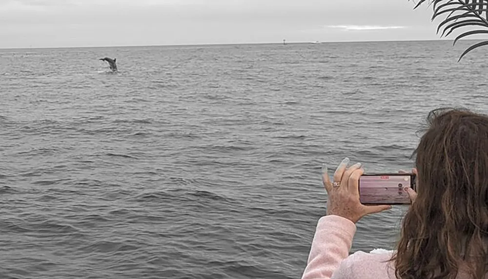 A person is capturing a photo of a dolphin jumping out of the ocean water with a smartphone