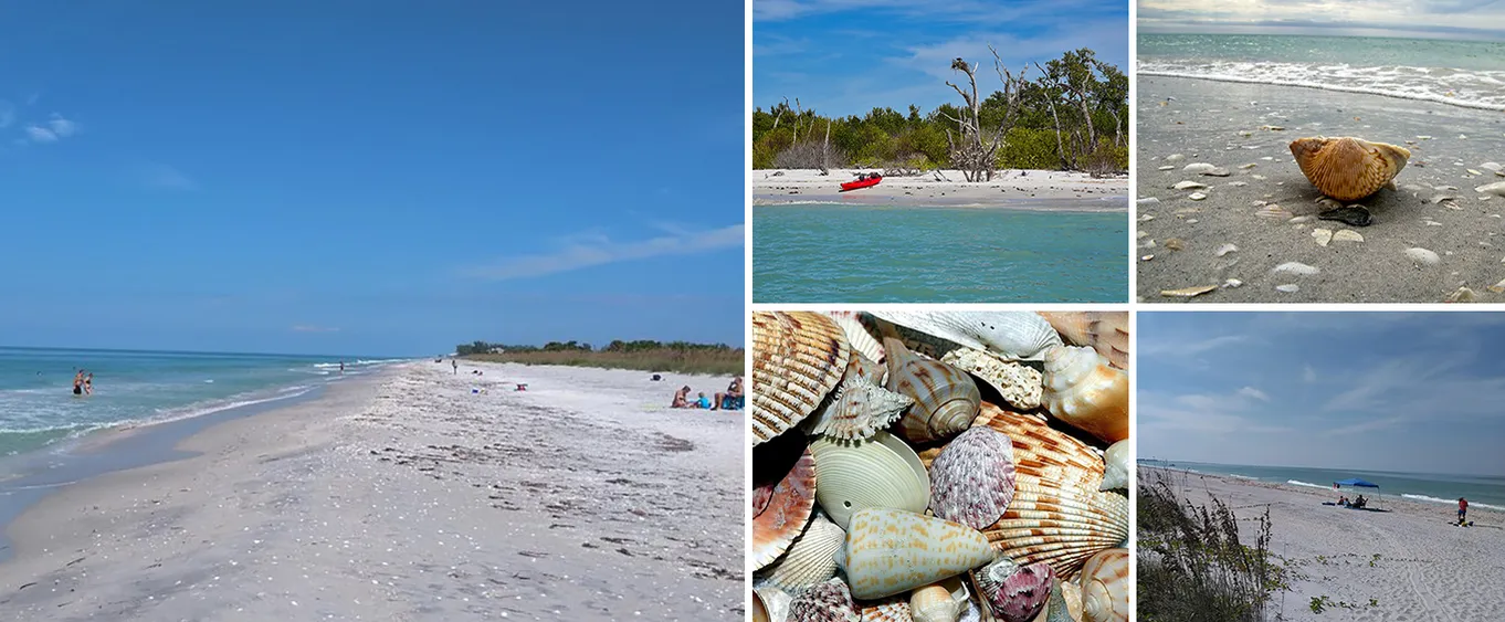 Four Hour Beach Day/ Cayo Costa State Park