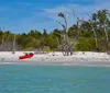 This image showcases a serene beach scene with a clear blue sky gentle waves and people enjoying leisure time by the water