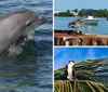 A dolphin is leaping out of the water creating splashes around it