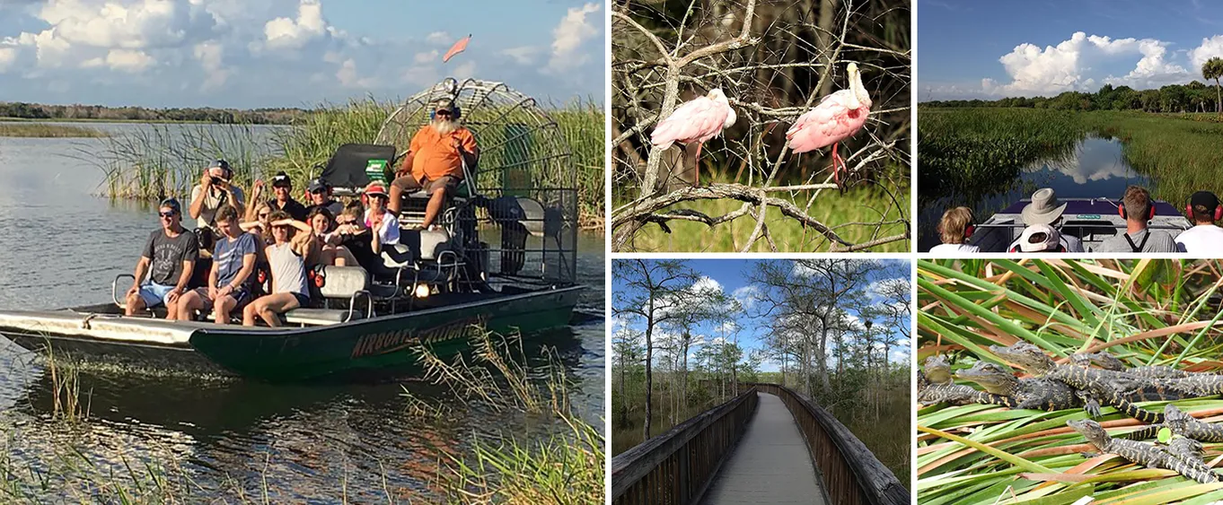 Everglades Family Adventure Tour from Greater Fort Myers/Naples Area
